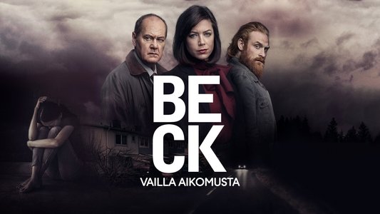 Beck 37 - Utan uppsåt