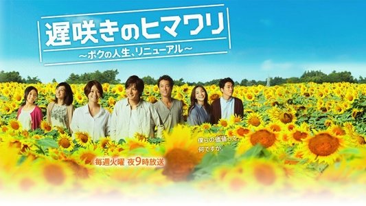 遅咲きのヒマワリ～ボクの人生、リニューアル～