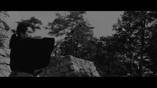 忍者狩り