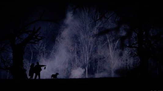 The Hollow Tree