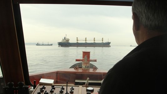 Sarmaşık
