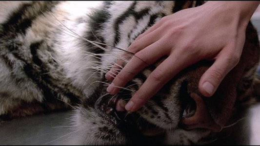 Manhunter