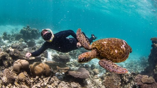 Ningaloo Nyinggulu