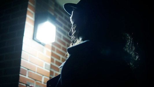 The Moonlight Detective