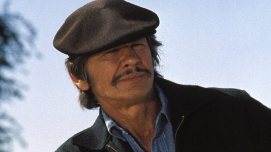 Mr. Majestyk