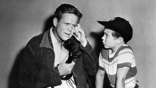 Chicago Calling