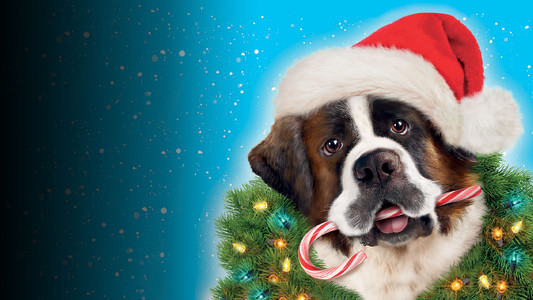 Beethoven's Christmas Adventure