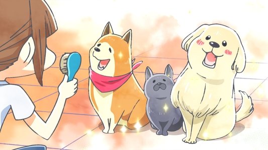 Thumbnail image for Volunteer