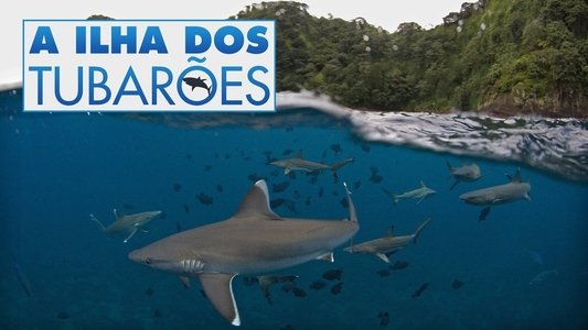 Shark Island