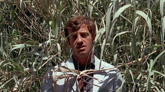 Pierrot le fou