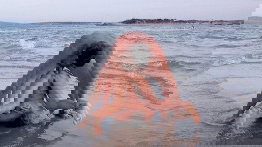 Cum To Ibiza: Chill the Fuck Out