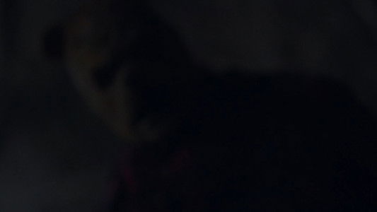 Winnie-the-Pooh: Blood and Honey 2