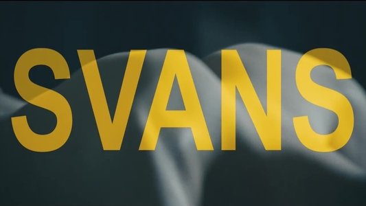 Svans