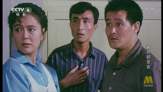 来的都是客