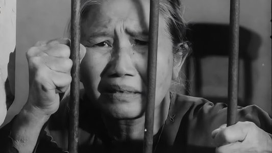 Tướng Về Hưu
