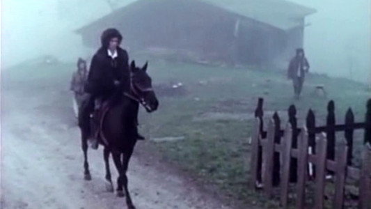 Frankenstein : Une histoire d'amour