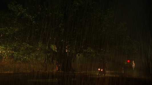 Monsoon Wedding