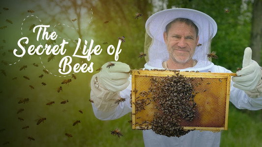 The Secret Life of Bees