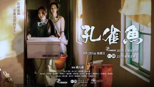 孔雀魚