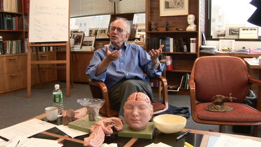 Auf der Suche nach dem Gedächtnis