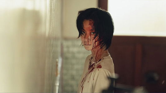 山忌 黃衣小飛俠