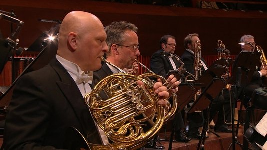 Beethoven: The Symphonies (Rafael Frühbeck de Burgos Conducts the Danish National Symphony Orchestra)