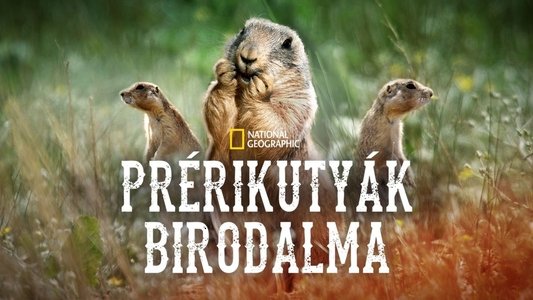 Prairie Dog Manor
