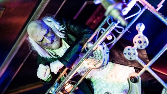 Michael Kocáb – rocker versus politik