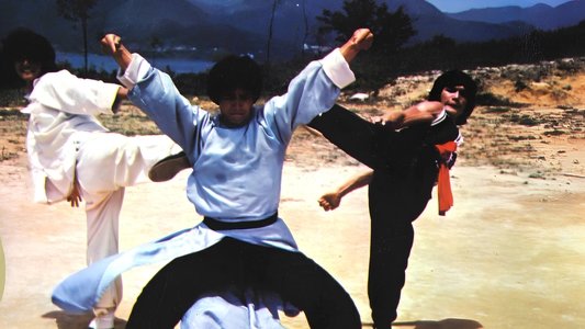 雜家高手