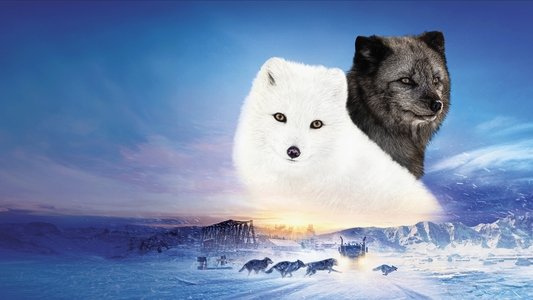Kina & Yuk : Renards de la banquise