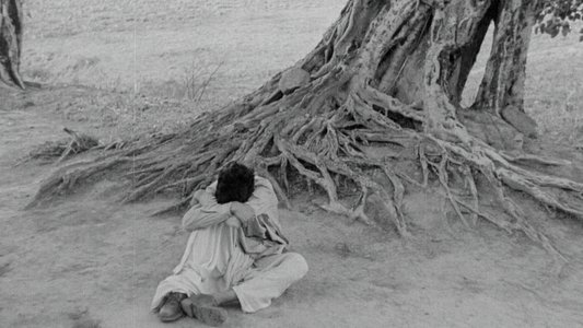 অপরাজিত