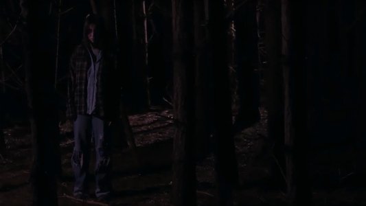 The Haunting of Hickcox Woods