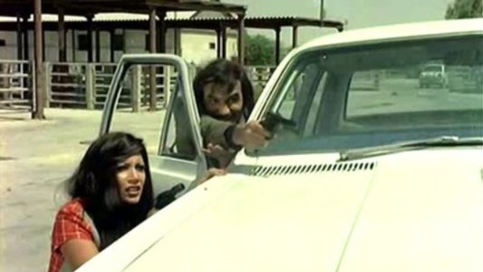 ذئاب لا تاكل اللحم‎