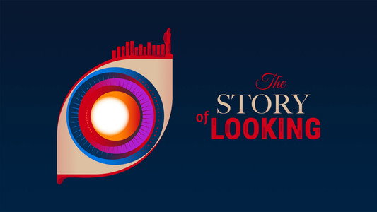 The Story of Looking