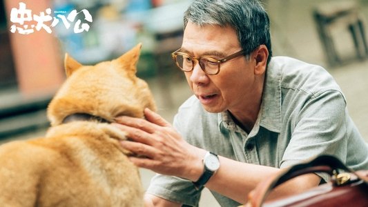忠犬八公