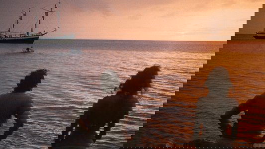 Les Naufragés de l'ile de la Tortue