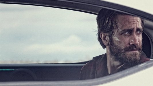Nocturnal Animals