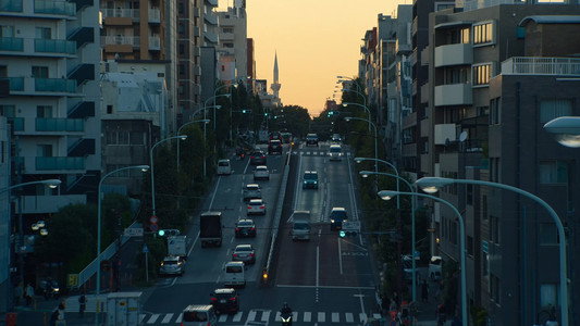 PERFECT DAYS