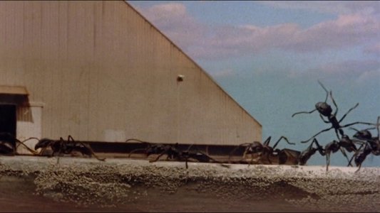 Empire of the Ants