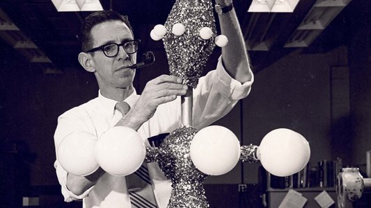 The National Christmas Tree, A Century of Celebration