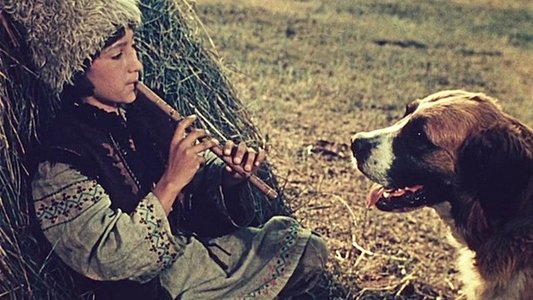 Андриеш