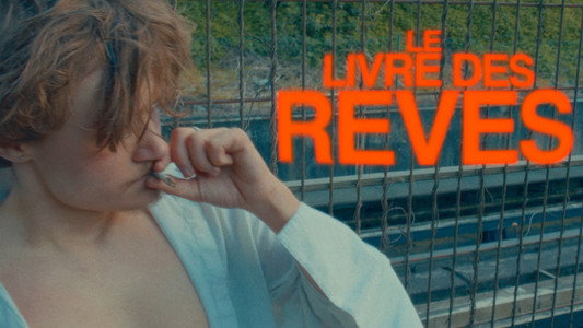 Le livre des rêves