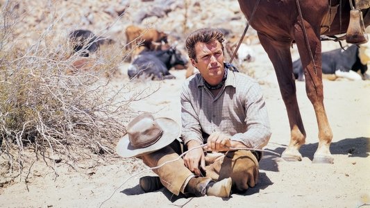 Rawhide