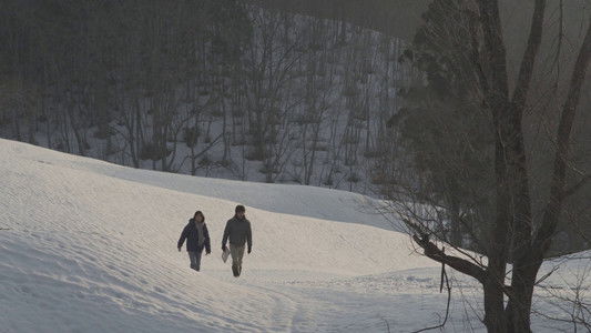 リトル・フォレスト 冬・春