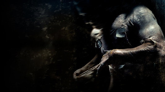 Pandorum