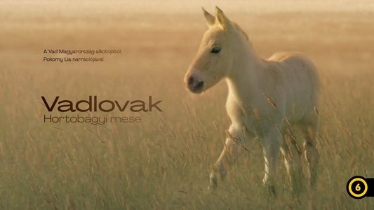 Vadlovak - Hortobágyi mese