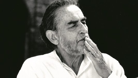 Vittorio racconta Gassman: Una vita da mattatore