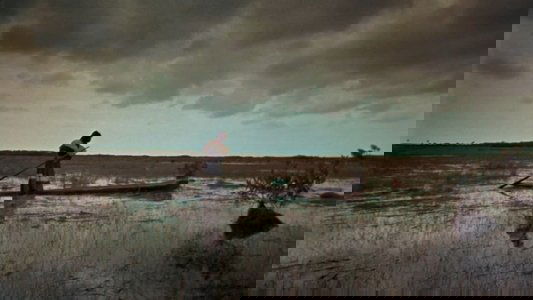 Wind Across the Everglades
