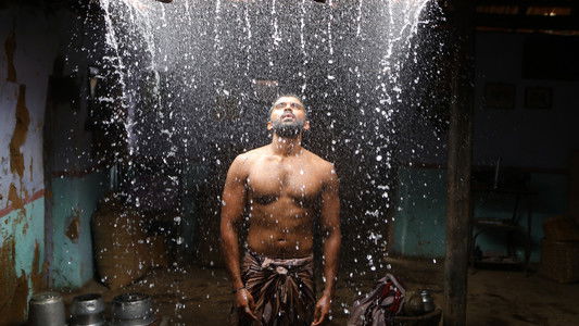 பைசன் காளமாடன்