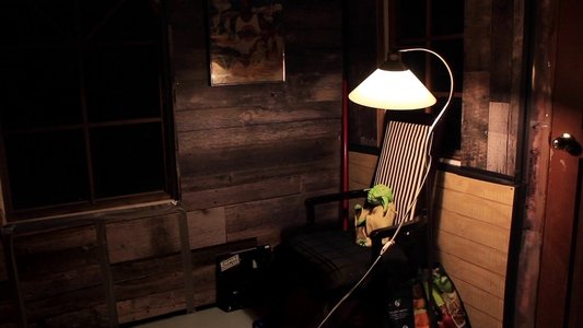 Yoda Retires